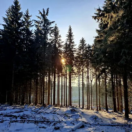 Haus Astenberg Bed & Breakfast