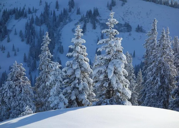 Bed and Breakfast Haus Astenberg Βίντερμπεργκ