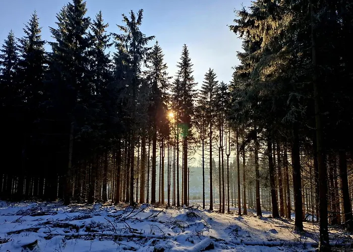 Haus Astenberg Bed and Breakfast