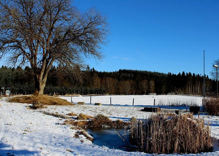 Bed and Breakfast Haus Astenberg 3*