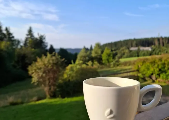 Haus Astenberg Bed and Breakfast Βίντερμπεργκ